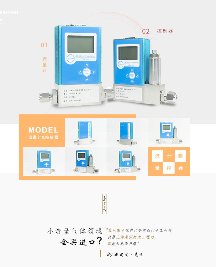 微小氣體質量流量計1